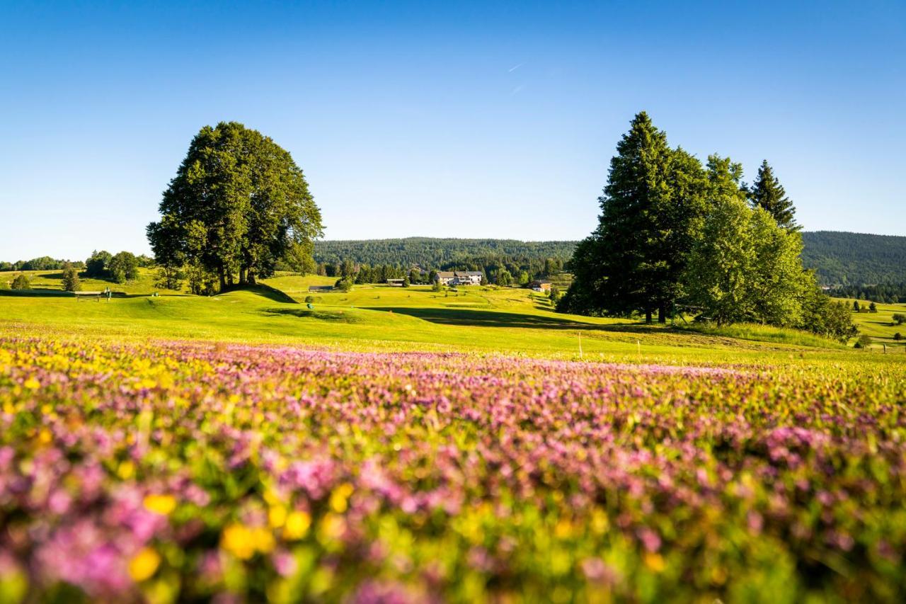 Domaine Du Mont-Saint-Jean Hotel Les Rousses Buitenkant foto